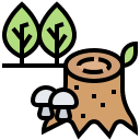 043 tree stump