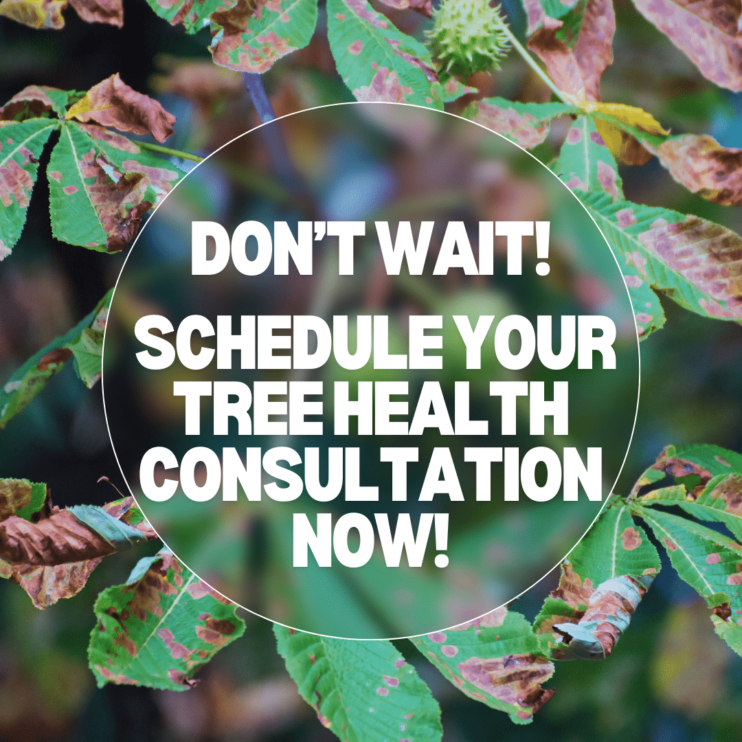 Tree Service Company - Clauser Tree Care - Chalfont, PA & Surrounding Areas