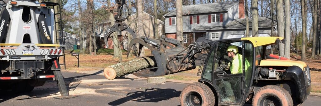The Clauser Tree Care skid steer and grapple work to remove a tree trunk during tree removal in the winter.