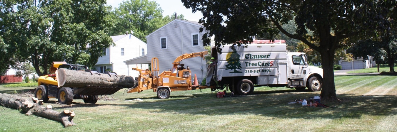 The Clauser Tree Care truck working in a yard in the summer in Chalfont, PA.
