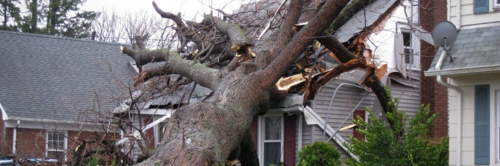 A large mature tree fallen onto residential home after severe storm showing extensive roof damage and the need for emergency tree removal services in Montgomery County, PA.