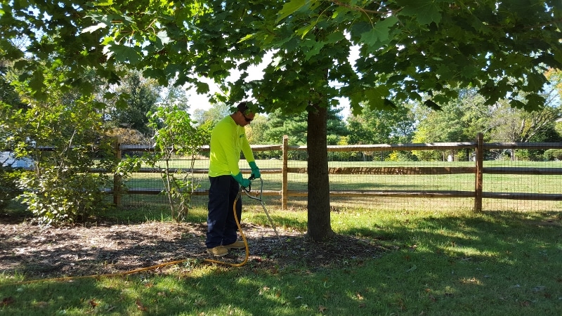An arborist from Clauser Tree Care examining the soil in a yard in Sellersville, PA.
