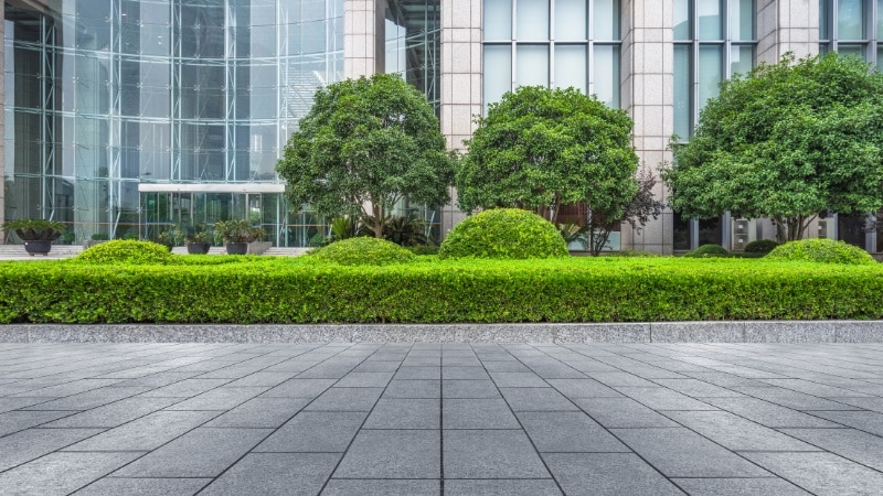 Professional commercial landscaping with maintained hedges and ornamental trees at a business complex.