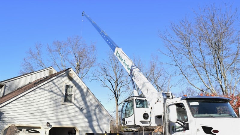 The Clauser Tree Care team using a crane to remove a dead tree in Perkasie, PA.