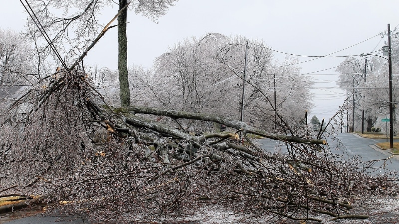 Ice storm damage showing fallen trees and branches blocking residential road with damaged power lines, demonstrating need for coordinated emergency response with utility companies.