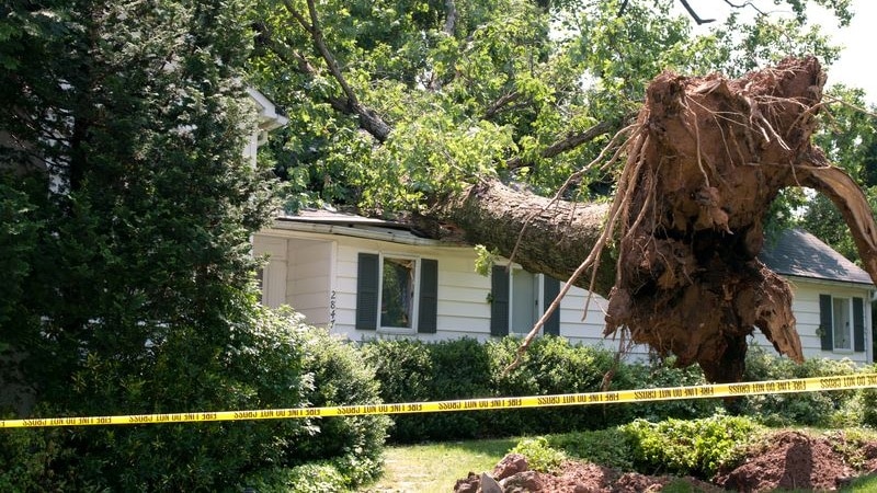 A large uprooted tree has fallen across a residential home's roof, causing severe structural damage, with emergency response tape surrounding the scene.