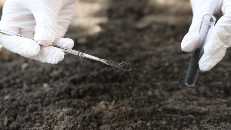 Gloved hands hold a small soil sample on a metal spatula above a glass test tube against a backdrop of dark, freshly turned earth.