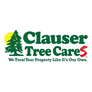 Top-Rated Tree Service Company | Clauser Tree Care | Chalfont, PA ...