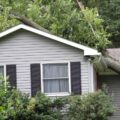 A fallen tree on top of a house.